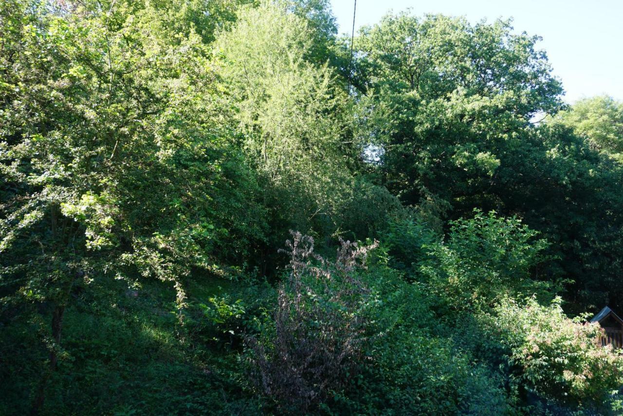 Ferienwohnung Grüne Oase Hargesheim Exterior foto